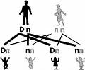 20061030061245-genes.jpg
